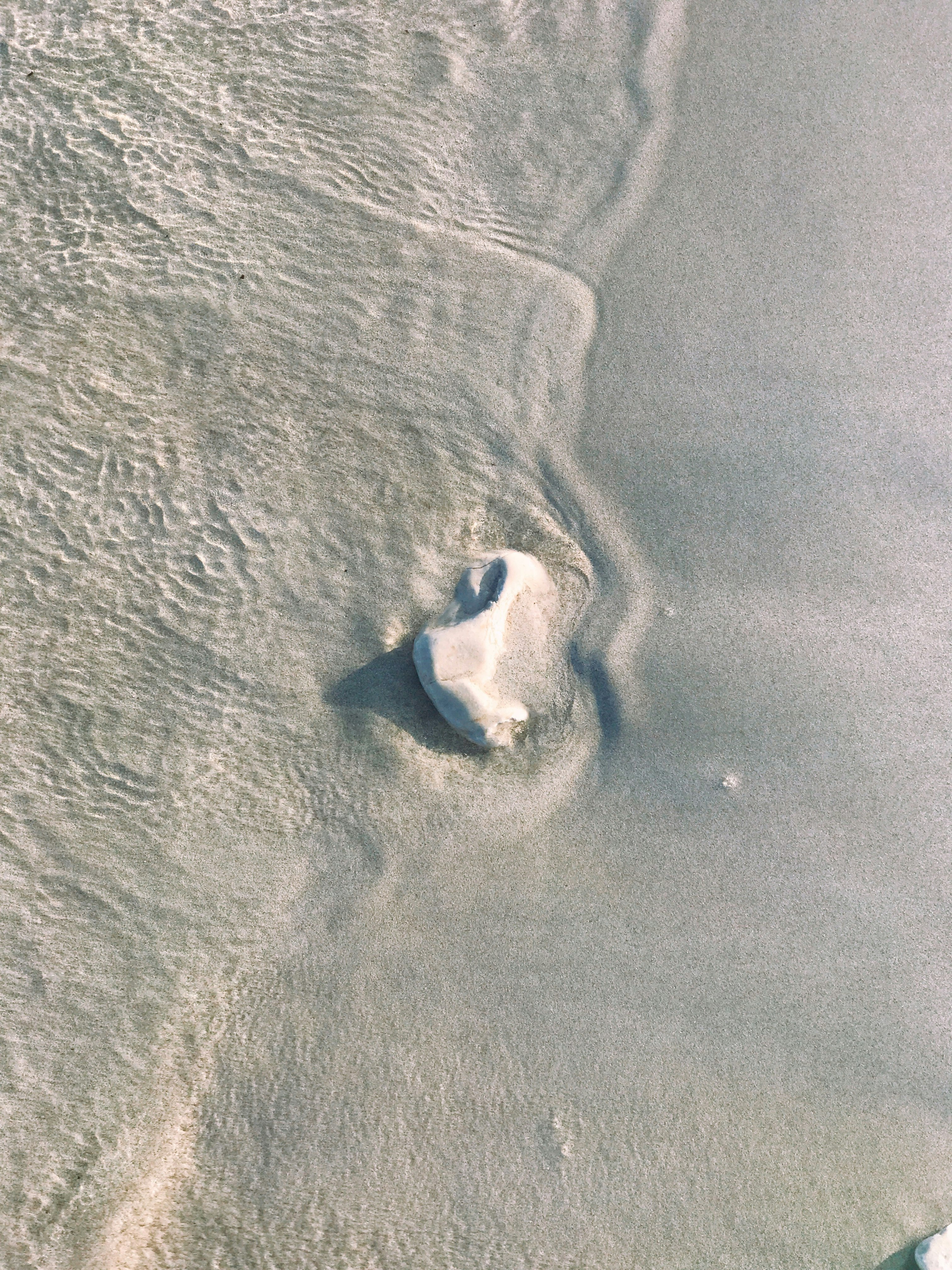 birds eye view of a person in the beach